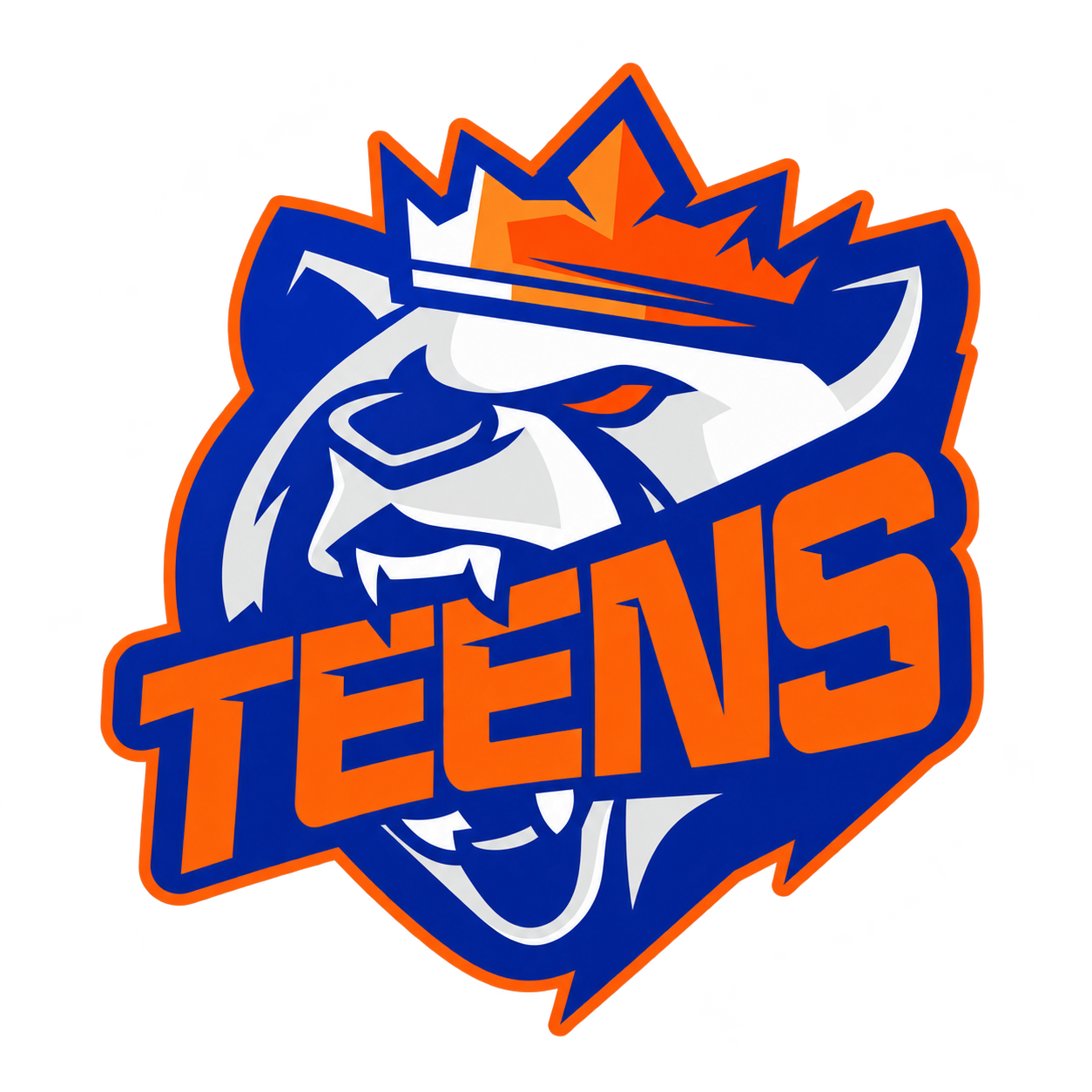 Logo Teens Biella