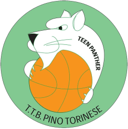 Logo Torino Teen Basket